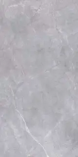 Риальто серый|119.5x238.5