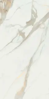 Calacata Gold  leviglass 60x120 Rec.