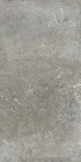 Montpellier Ash compactto 60x120 Rec.XX