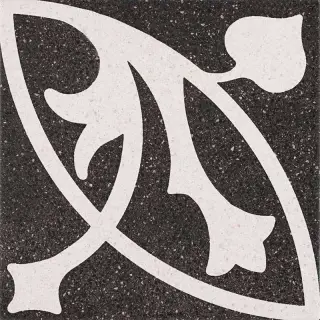 DC. Erte Negro  |22.3x22.3 XX