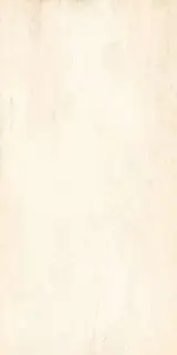 Керамогранит Beton G-1101 MR мат.бежевый ZZl30x60