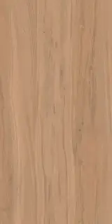 Alleya 2102 Коричневый Структурированный 60x120