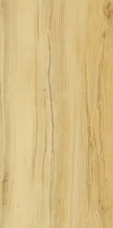 Alleya 2101 Медовый Структурированный 60x120
