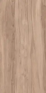 Alleya 2103 Серо-коричневый Структурированный 60x120