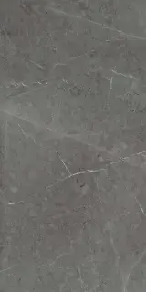 Skala 2203 Темно-серый Лаппатированный 60х120