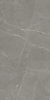 Skala 2202 Серый Лаппатированный 60х120