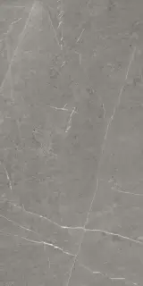 Skala 2202 Серый Матовый 60х120