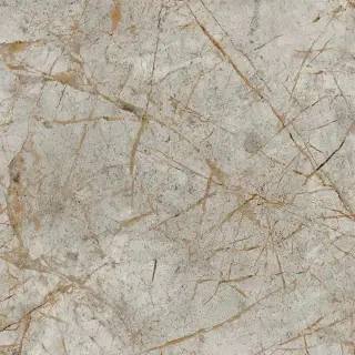 Iceberg 2003 серый матовый 60х60