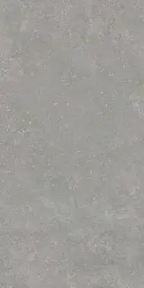 Гранит Глория серый SR структ. |60x120