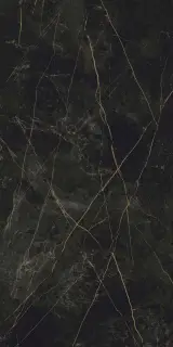 Гранит Сандра черно-оливковый MR матовый 60x120