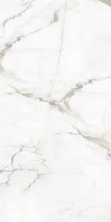 Гранит Паллисандро Оро SR структ |60x120