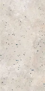 Граните Концепта Бежевый MR мат.ZZ 60х120