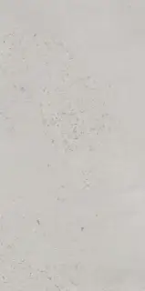 Граните Концепта Селикато Серый MR мат.60х120