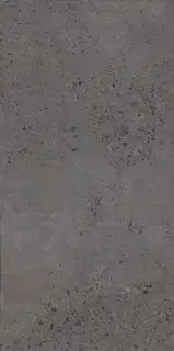 Граните Концепта Селикато Черный MR мат.ZZ 60х120