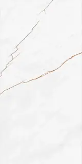 Граните Сиена белый MR матовый 60x120