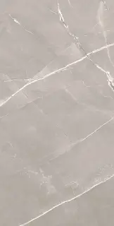 Armani Grey Satin 60x120