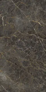 AE GOL6 12 LP 60x120