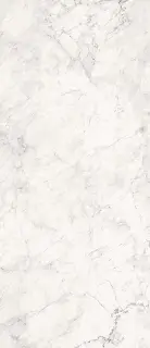 AE CAL6 278 LP 120x278