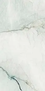 AE CAM6 278 LPM 120x278