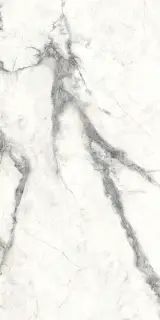 Charme Invisible Grey 60x120