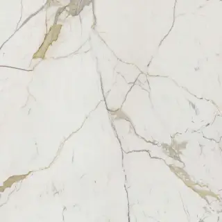 Vision Calacatta Oro 120x120