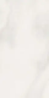 Abs Wh6 12LP |60x120