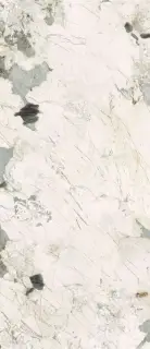 Pat Wh6 278 LP  120x278