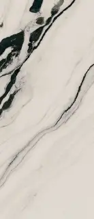 PAN WH6 278 LP   120x278