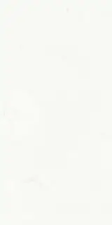 Statuario Classico Soft |60x120