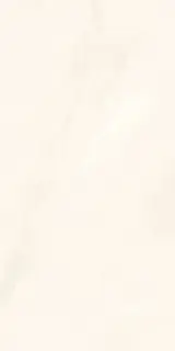 Onice Bianco Extra Lev Silk XX 60x120