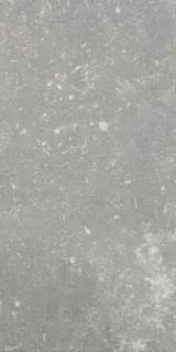 Ardenne Grigio 20x40