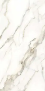 Carrara white 60x120