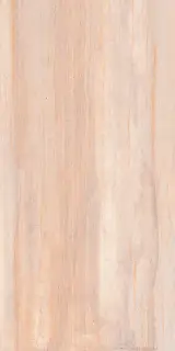 Travertino beige 60x120