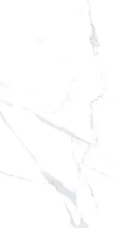 Statuario white 60x120