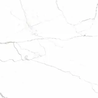 Neiva Elegan/Нейва G391 элегантный  мат.60x60