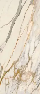 Golden Borg Smooth ZZ|120x278