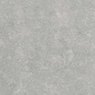 Fossil Gris 2 cm 60x60