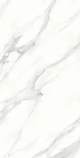 Calacatta Vero Satin 60x120