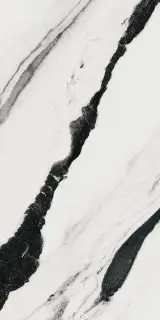 PAN WH6 12 LP |60x120