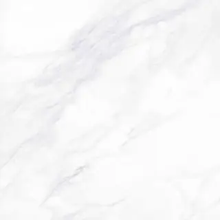 Payer Elegant G281/Пайер Элегантный мат. 60x60