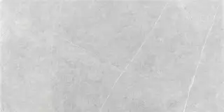 NORTHON LIGHT GREY MT 60X120 RECT.