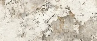 Patagonia Polished 120x278