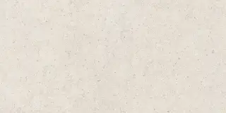 Forum Stone Polar 60x120