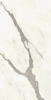 Marvel Statuario Supremo 40x80 Shiny