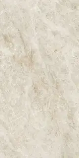 Marvel Diva Taj Mahal 60x120 Lapp.