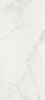 Marvel Calacatta 50x110