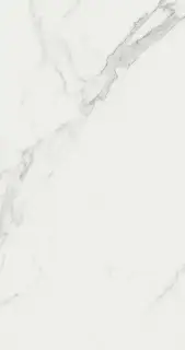 Marvel Calacatta 50x120