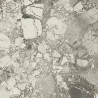 Forte Dei Marmi Ceppo Apuano Pearl Rett 120x120