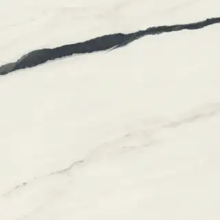 Forte Dei Marmi Panda White Rett 120x120