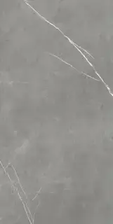 Forte Dei Marmi Elegant Grey Rett 80x160